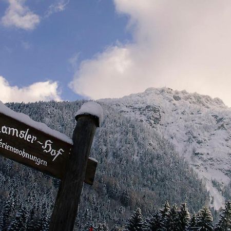 Ferienwohnungen Ramslerhof Inkl. Chiemgaukarte Ruhpolding Zewnętrze zdjęcie